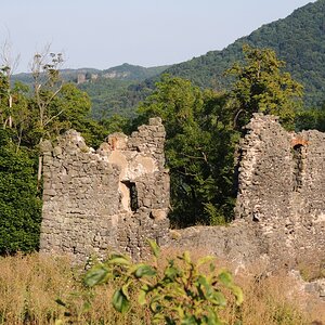 DSCN4592n.jpg