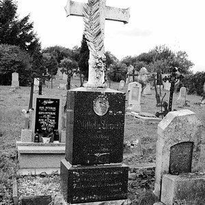P1010038n.jpg