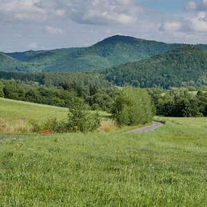 P1010120n.jpg