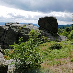 P1010186n.jpg