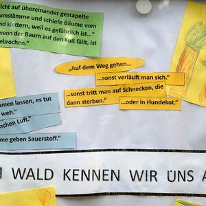 Waldkindergarten.jpg