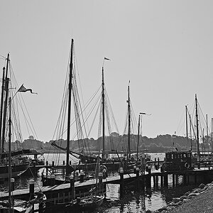 Schlei 04.jpg
