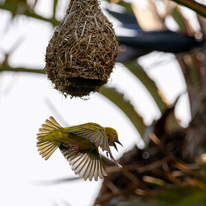 DSC_2104-Verbessert-RR.jpg
