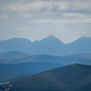 DSC_2446.jpg