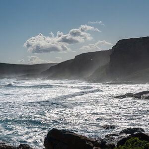 DSC_3145.jpg