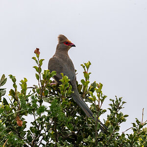 DSC_4040.jpg