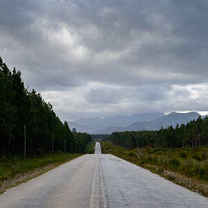 DSC_5078.jpg