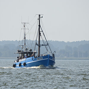 DSC_1651.JPG