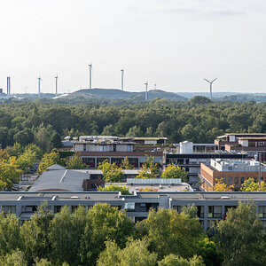 240917 Nikon Stammtisch-13.jpg