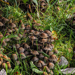 PA050036-Edit.jpg