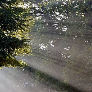 morgensonne.JPG
