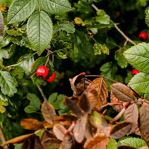PA050119-Edit.jpg