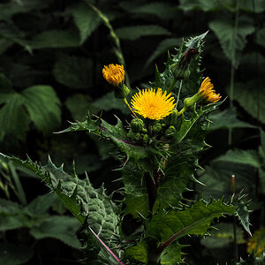 PA090131-Edit.jpg