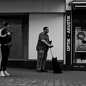 2024-09-24_13-27-48_016_NIKON Z 5_1200.jpg