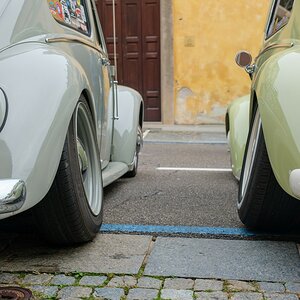 49-T51X1799-1.jpg