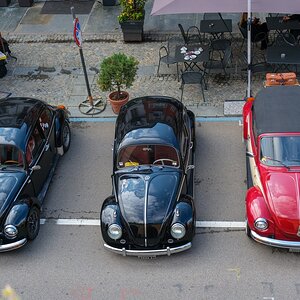 53-T51X2018-1.jpg
