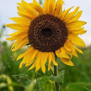 Z8A_0347t2l2fks40p1.jpg