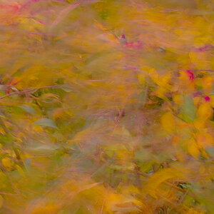 PA130020-Edit.jpg