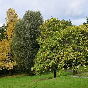 Herbst05.jpg