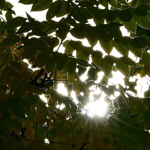 Herbst11.jpg