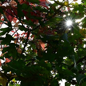 Herbst22.jpg
