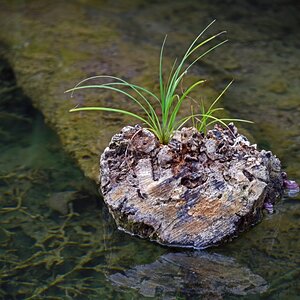 split_nationalpark_krka.jpg