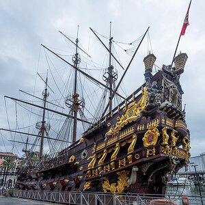 20241008-NIK_8565.jpg