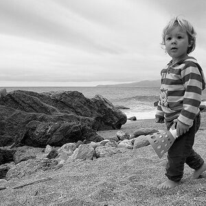 DSC_5608.jpg