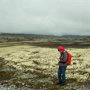 Scheden-Norwegen 2024-3694.jpg