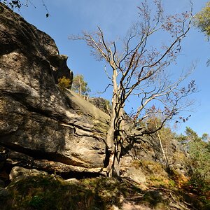 DSC_9638_00001n.jpg