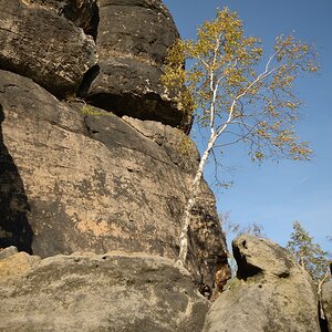 DSC_9649_00001n.jpg
