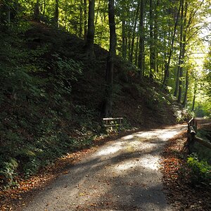 PA163473.JPGn.JPG