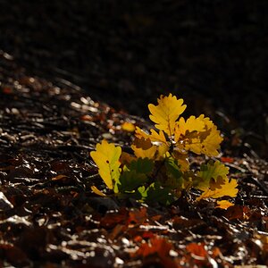 PA163494.JPGn.JPG