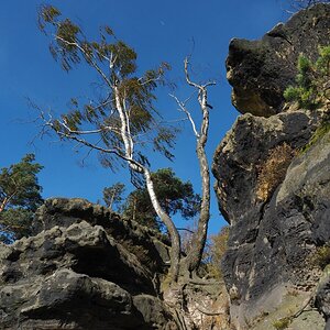 PA163514.JPGn.JPG