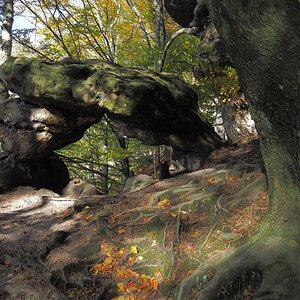 PA163534.JPGn.JPG
