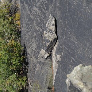 PA163548.JPGn.JPG