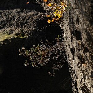 PA163566.JPGn.JPG