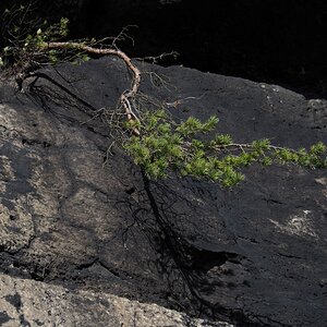 PA163597.JPGn.JPG