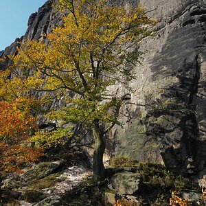 PA163623.JPGn.JPG