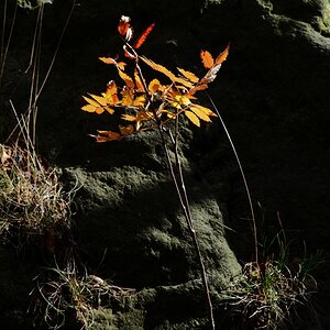 PA163626.JPGn.JPG