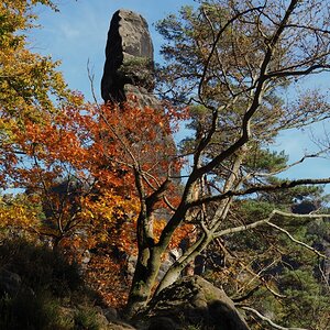 PA163628.JPGn.JPG
