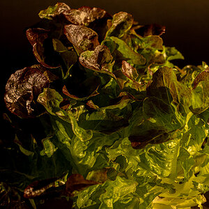 PA170039-Edit.jpg