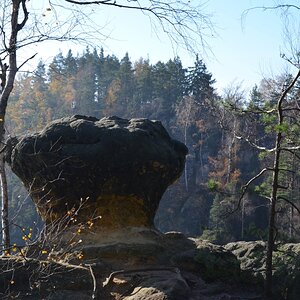 DSC_1832n.JPG