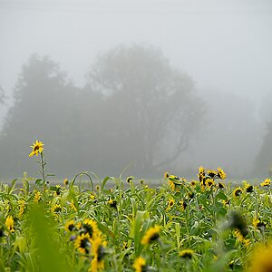 DSC_3345_NIKON Z 5_1200.jpg