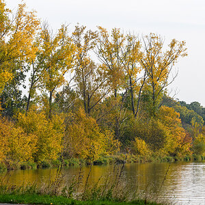 OF5_47140.jpg