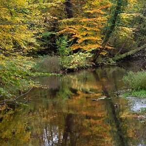 Herbstliche Hardau.jpg