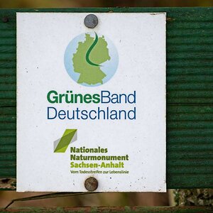 Grünes Band.jpg