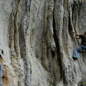 DSC_0309-2.jpg