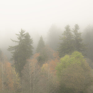 PA220019-Edit.jpg