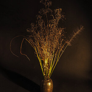 PA230023-Edit.jpg